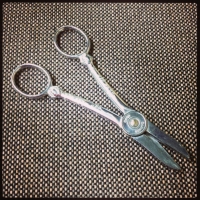 Vintage Garden Club Scissors
